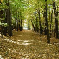 Δίκτυο 13 περιπατητικών μονοπατιών σε Μουρίκι και Βόιο