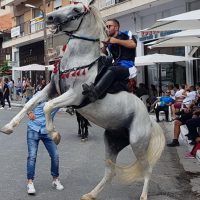 Σιάτιστα: Η παρέλαση των καβαλάρηδων της Παναγιάς – Δείτε το βίντεο