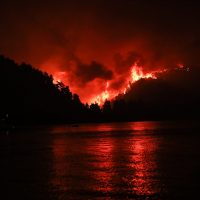 Πυρκαγιές και αναδασώσεις: Προμηθείς… – Άρθρο του Αργύρη Αργυριάδη