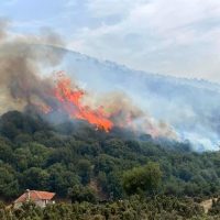 Πυρκαϊές και άλλες συμφορές – Γράφει ο Απόστολος Παπαδημητρίου