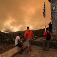 Τα παρεπόμενα των πυρκαγιών – Του Απόστολου Παπαδημητρίου