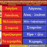 Ποντιακές λέξεις με αρχαιοελληνική προέλευση – Της Δέσποινας Μιχαηλίδου Καπλάνογλου