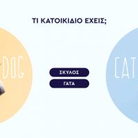 4 βασικές απορίες που πάντα θέλαμε να ρωτήσουμε για τον σκύλο ή τη γάτα μας