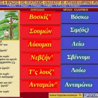 Ποντιακές λέξεις από Ποντιακούς στίχους τραγουδιών με αρχαιοελληνική προέλευση – Γράφει η Δέσποινα Μιχαηλίδου Καπλάνογλου
