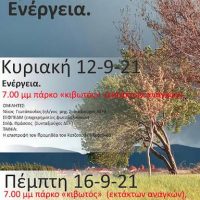 Εκδηλώσεις της Κινηματογραφικής Ομάδας Πτολεμαΐδας αφιερωμένες στο Δημήτρη Λιακάκο