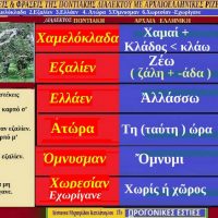 Ποντιακές λέξεις από Ποντιακούς στίχους τραγουδιών με αρχαιοελληνική προέλευση – Της Δέσποινας Μιχαηλίδου Καπλάνογλου