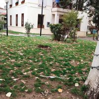 Βανδαλισμοί και φθορές στο Χριστουγεννιάτικο διάκοσμο του Δήμου Εορδαίας σε διάφορα σημεία της Πτολεμαΐδας