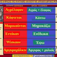 Ποντιακές λέξεις από Ποντιακούς στίχους τραγουδιών με αρχαιοελληνική προέλευση – Της Δέσποινας Μιχαηλίδου Καπλάνογλου
