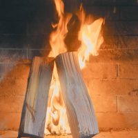 Καυσόξυλα, κοπές δέντρων και καθαρισμοί τζακιών