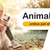 Πώς μπορείτε να κάνετε τον σκύλο σας πιο χαρούμενο;