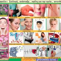 Σπαρταλήδικο τριαντάφυλλο: Συλλογή, απόσταξη, οφέλη για την υγεία, αντενδείξεις, άλλες χρήσεις – Του Σταύρου Καπλάνογλου