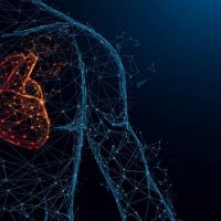 Έμφραγμα: Τι είναι και πώς μπορούμε να το προλάβουμε;