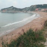 Κυριακή των Βαΐων και η άνοιξη στην Ερείκουσα – Γράφει η δασκάλα του νησιού Αποστολία Ρούση