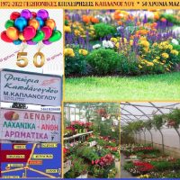 Ανοιξιάτικα λουλούδια που μπορούν να συντηρηθούν εύκολα στον κήπο ή το μπαλκόνι σας – Της γεωπόνου Μάρθας Καπλάνογλου