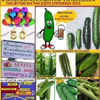 Βίντεο: Η καλλιέργεια και οι ποικιλίες της αγγουριάς – Γράφει η Μάρθα Στ. Καπλάνογλου, γεωπόνος