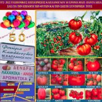 Ντομάτα: Πληροφορίες για την σωστή καλλιέργειά της – Της γεωπόνου Μάρθας Καπλάνογλου