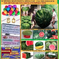 Οι ποικιλίες καρπουζιού και η επιλογή ωριμότητάς του – Της γεωπόνου Μάρθας Καπλάνογλου