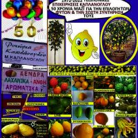 Η λεμονιά και οι ποικιλίες της – Γράφει η Μάρθα Στ. Καπλάνογλου, Γεωπόνος