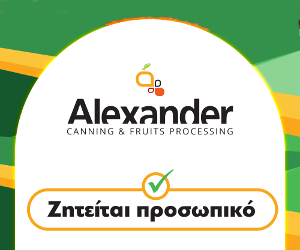 alexander300250new.png