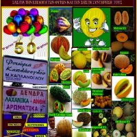 Το πεπόνι και οι ποικιλίες του με μεγάλη ζήτηση στην Ελλάδα – Της γεωπόνου Μάρθας Καπλάνογλου