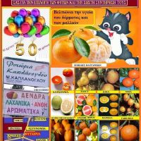 Οι ποικιλίες των μανταρινιών – Γράφει η Γεωπόνος Μάρθα Στ. Καπλάνογλου