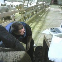 Οδηγός διαχείρισης αιγοπροβάτων από τον κτηνίατρο Νικόλαο Καραλίγκα