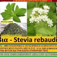 Στέβια: Τα διατροφικά οφέλη και οι ιατροφαρμακευτικές ιδιότητες – Του γεωπόνου Σταύρου Καπλάνογλου