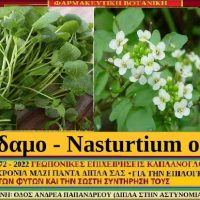 Το νεροκάρδαμο και τα διατροφικά του οφέλη – Του Σταύρου Καπλάνογλου
