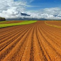 Εκμίσθωση αγροτεμαχίων στο Δήμου Βοΐου