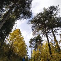 Ο Ε.Ο.Σ. Κοζάνης οργανώνει την Κυριακή 9.10.2022 ορειβασία στα Πιέρια