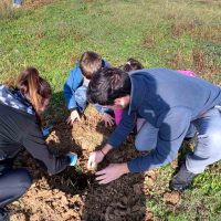 Όταν φυτεύεις δέντρα και φυτρώνει η αγάπη