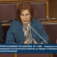 Παρασκευή Βρυζίδου:  Για τη συμβολή των Πολιτιστικών Συλλόγων της ΠΕ Κοζάνης και του Συνδέσμου Γραμμάτων και Τεχνών Κοζάνης στη διατήρηση της ιστορικής μνήμης