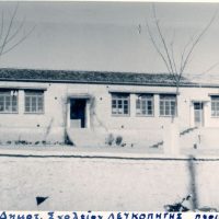 Λευκοπηγή, η (Βελίστη), του Βασιλείου Αποστόλου