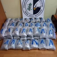 Μεγάλη ποσότητα ακατέργαστης κάνναβης, σε περιοχές της Καστοριάς και της Θεσσαλονίκης – Κατασχέθηκαν περισσότερα από 78 κιλά χασίς – Δείτε βίντεο & φωτογραφίες από τη σύλληψη