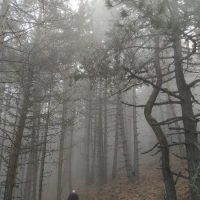 ΕΟΣ Κοζάνης : Εξόρμηση στα Πιέρια την Κυριακή 4 Δεκεμβρίου