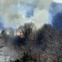 Φωτογραφίες από την πυρκαγιά σε ορεινή περιοχή στη Βλάστη