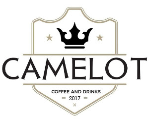 camelot300_250.jpg