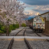 Αργύρης Καραμούζας: ‘Τελικά αποδείχθηκε ότι τα πιο ασφαλή τρένα είναι αυτά που δεν ξεκίνησαν ποτέ….Κοζάνη!!!’