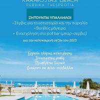 Θέσεις εργασίας για το εστιατόριο – beach bar NEMO στην Θεσπρωτία