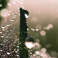 Φίλτρα Νερού για το Γραφείο – Ποια Είναι η Καλύτερη Λύση