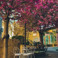 Στενό Κομπανίας στην Κοζάνη: Το φωτογραφικό κλικ του Κώστα Αργυρόπουλου