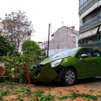Κοζάνη : Έπεσε μεγάλο κλαδί δέντρου σε σταθμευμένο αυτοκίνητο – Δείτε φωτογραφίες