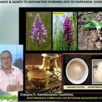 Ορχιδέες και σαλέπι, το εκπληκτικό ρόφημα από το παρελθόν – Του Σταύρου Καπλάνογλου