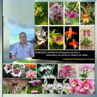 Ποικιλίες Ορχιδέας – Του Σταύρου Π. Καπλανογλου