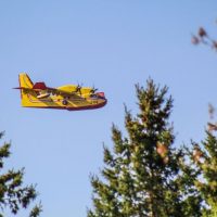 Μεγάλη δασική πυρκαγιά σε εξέλιξη στη Βλάστη Εορδαίας – Ισχυρές Πυροσβεστικές δυνάμεις και εναέρια μέσα στο σημείο – Δείτε περισσότερα