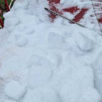 Σφοδρή χαλαζόπτωση στην Πτολεμαΐδα: Ισχυρή καταιγίδα με χαλάζι έπληξε Κοινότητες της Ανατολικής Εορδαίας- Δείτε φωτογραφίες