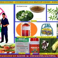 Οικολογική αντιμετώπιση εντομών: Εντομοπαθογόνοι μικροοργανισμοί, φάρμακα βιολογικά και χημικά κατά των εντομών- Μάρθα Στ. Καπλάνογλου