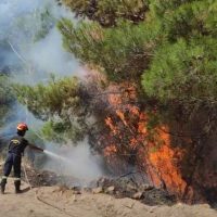 Οι χώρες που ανταποκρίθηκαν στο κάλεσμα για βοήθεια στην Ελλάδα