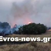 Φωτιά στην Αλεξανδρούπολη: “Μάχη” με τις φλόγες δίνουν οι Πυροσβεστικές δυνάμεις στην Μελία – Μήνυμα του 112 στους κατοίκους της περιοχής