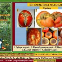 Κυκλοφόρησε το εγχειρίδιο του Σταύρου και της Μάρθας Καπλάνογλου για την καλλιέργεια ντομάτας-πιπεριάς-μελιτζάνας